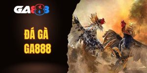 đá gà GA888