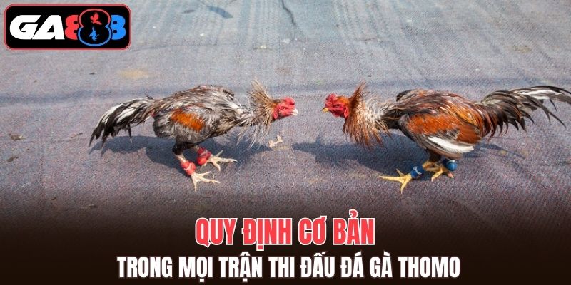 Nắm rõ những quy định để có trải nghiệm tuyệt vời nhất