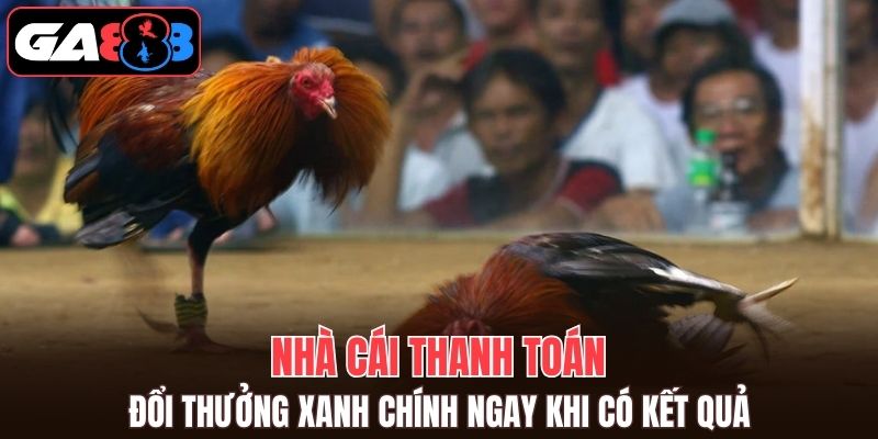 Nhà cái thanh toán, đổi thưởng xanh chính ngay khi có kết quả
